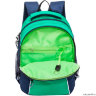 Школьный рюкзак Grizzly RB-963-1 Зелёный/Синий