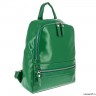 Кожаный рюкзак VD170 green