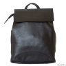 Женская сумка-рюкзак Carlo Gattini Antessio black