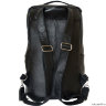 Кожаный рюкзак Carlo Gattini Verdello black